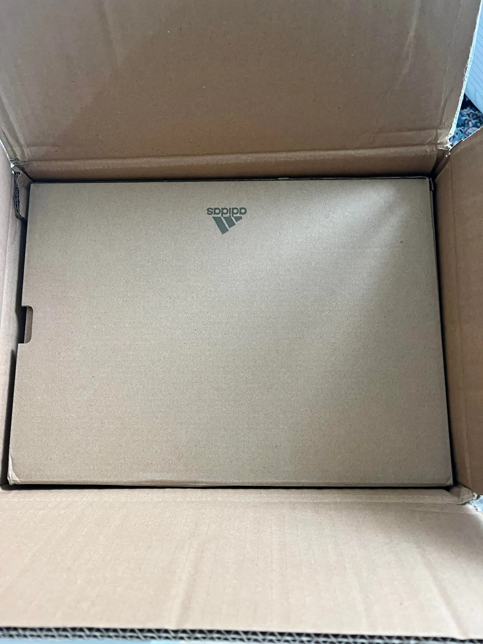 Joyagoo 4kg Haul | Reddit Starter Share — photo 2 of 9